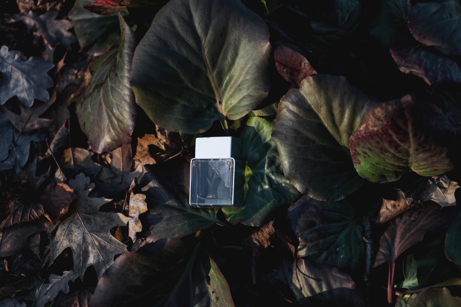 Perfumy na jesień - ranking